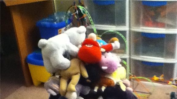 Most Stuffed Animals Held In Arms At Once