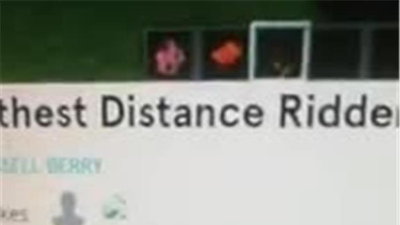 Farthest Distance Ridden On A Pig In Minecraft 