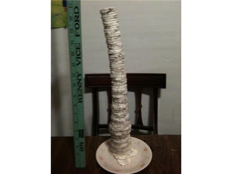 Tallest Oreo Cookie Tower