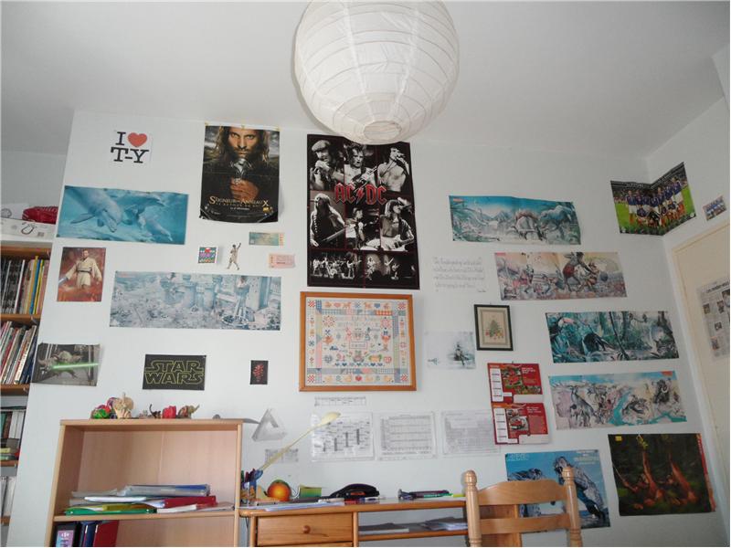 Most Wall Posters In A Bedroom