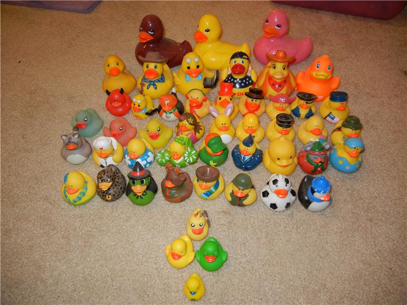 Largest Rubber Duck Collection