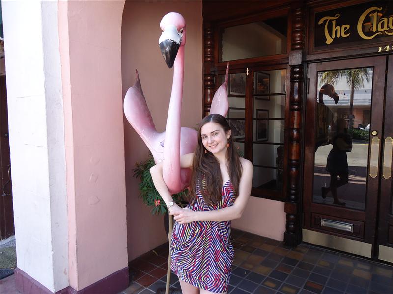Most People To Hug A Flamingo Statue