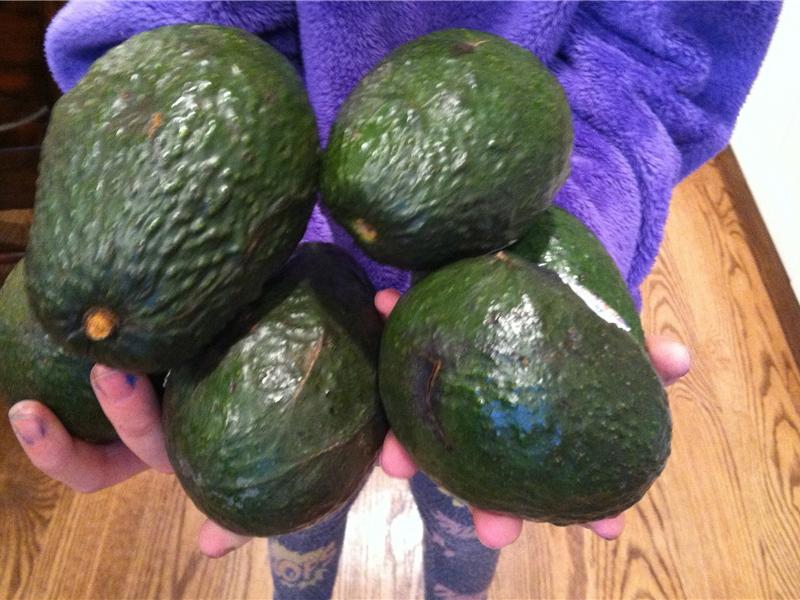 Most Avocados Held In Hands At Once