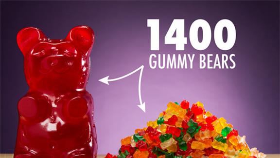 Largest Gummy Bear Ever