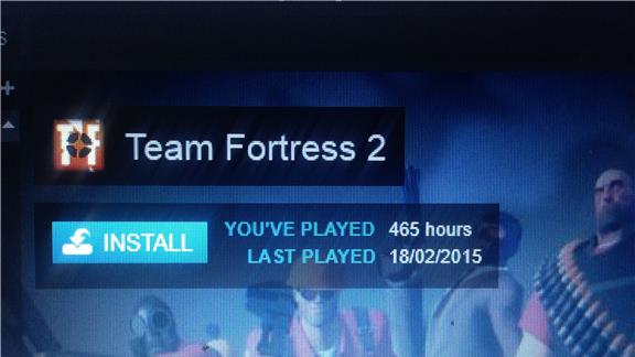 Most Hours Logged on Team Fortress 2 (PC)