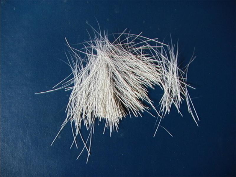 Largest Cat Whisker Collection