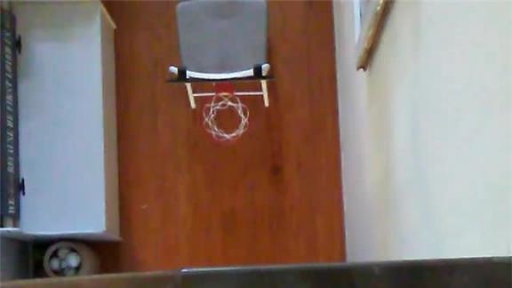 Highest Mini Hoop Basketball Shot
