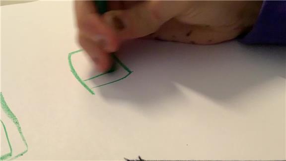 Fastest Time To Draw The Flag Of Pakistan
