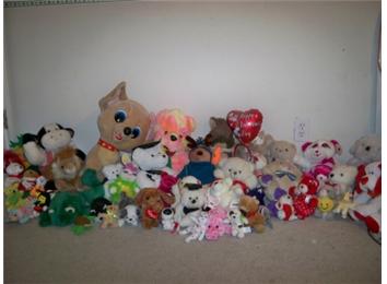 Largest Stuffed Toy Collection, World Record