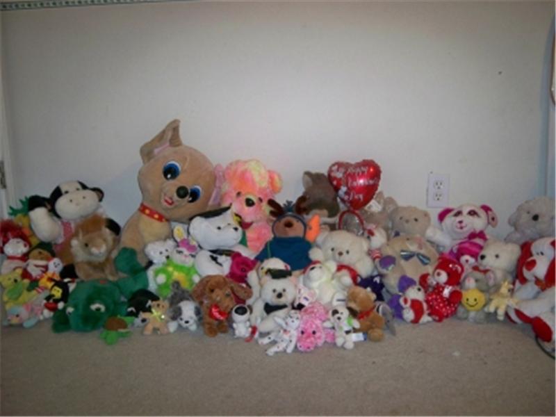 Largest Stuffed Toy Collection