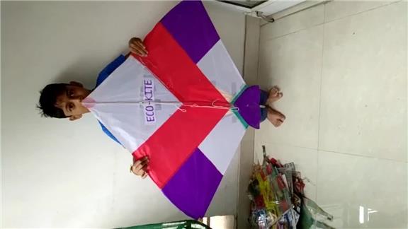 Most Kites Collected by Child