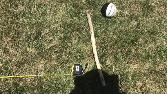 Farthest Mini Basketball Shot Into A Mini Basketball Hoop While Blindfolded
