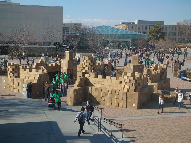 Largest Cardboard Fort