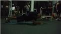 Longest Plank With 100 Pounds On Back