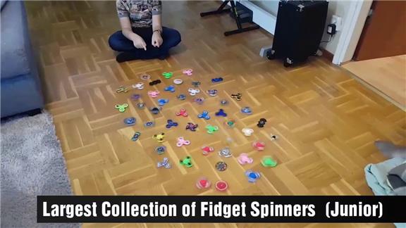 Largest Collection of Fidget Spinners (Junior)