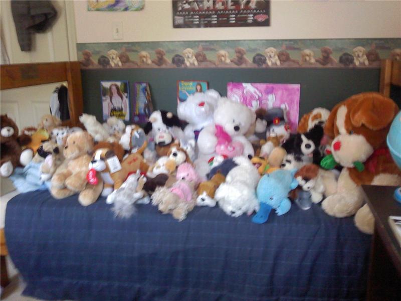 Largest Stuffed Toy Collection