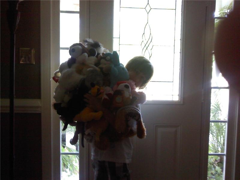 Most Stuffed Animals Held In Arms At Once