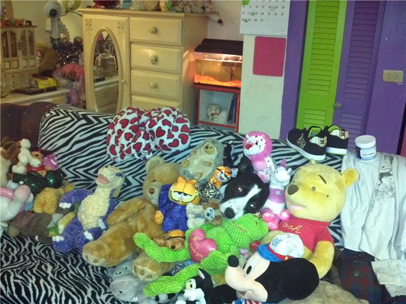 Most Stuffed Animals In A Bedroom