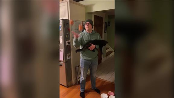 Longest Time Juggling Two Balls While Holding A Cat 