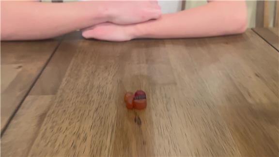 Fastest Time to Eat 5 Fruit Snacks Without Using Your Hands