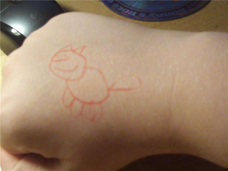 Most Cats Drawn On One\'s Own Hand