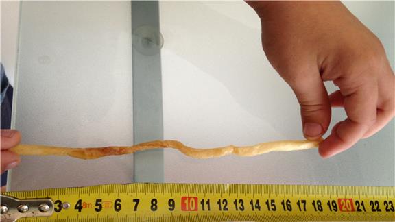 Longest Fry