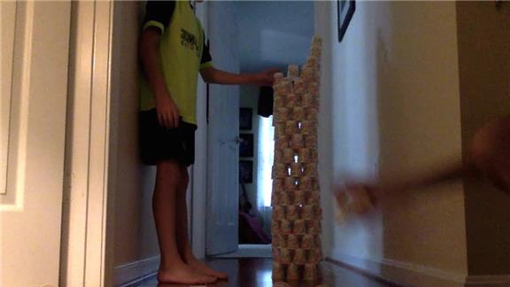 Tallest Cup Tower Knocked Down by a Pepper
