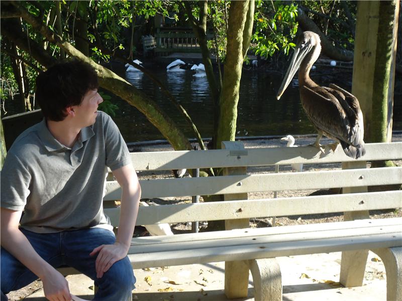 Most Birds Sitting On A Bench With A Human
