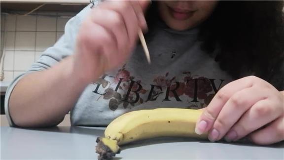 Stabbing the Most Holes in a Banana With a Wooden Chopstick in 30 Seconds
