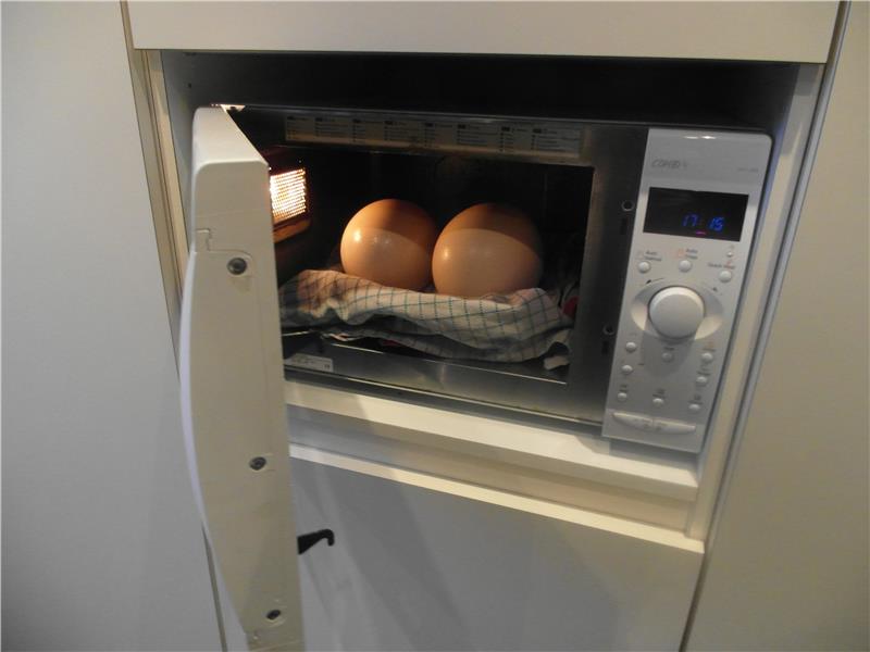 Most Ostrich Eggs Put In A Microwave
