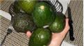 Most Avocados Held In One Hand