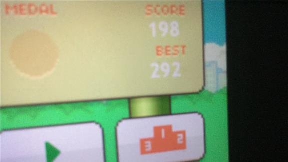 Highest Score on Squishy Bird by 11 Year Old