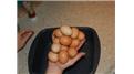 Most Hen Eggs Held In Hand At Once