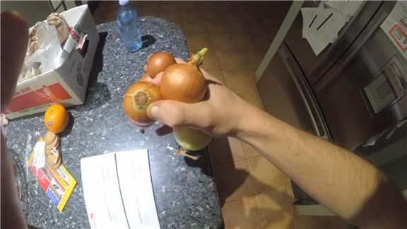 Most Onions Held In One Hand At Once (Palm Down)