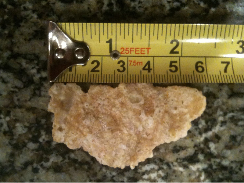 Longest Frosted Flake