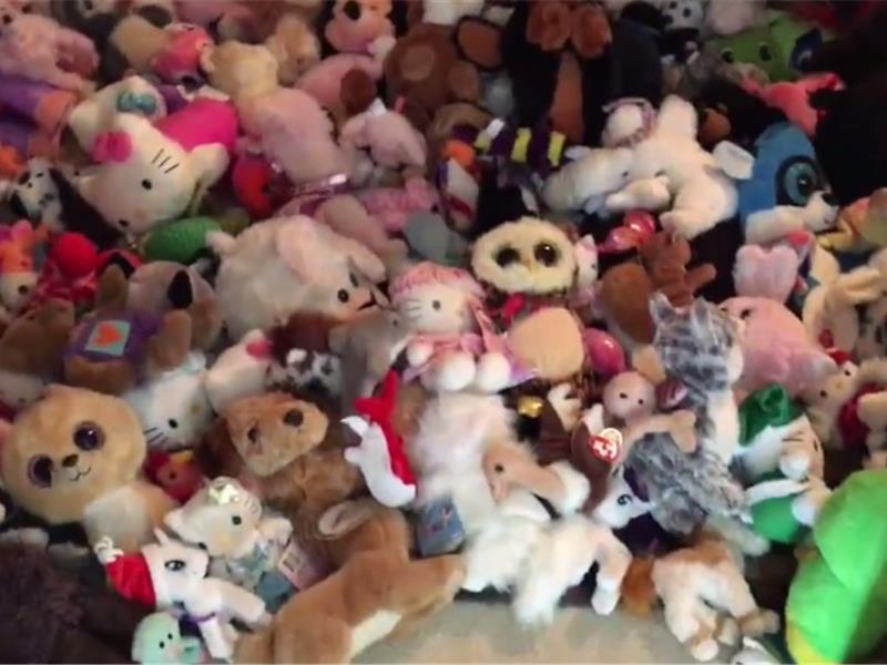 Largest Stuffed Toy Collection | World Record | Graycyn